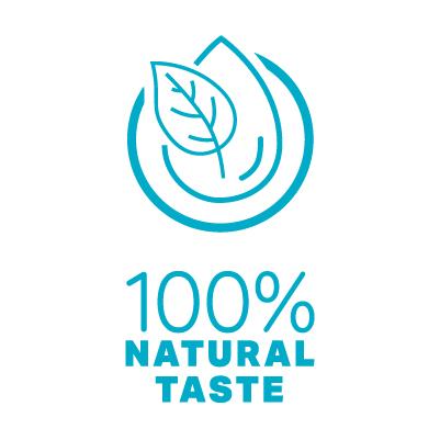 icons usp ingredients_less-sugar_eng_natural-taste