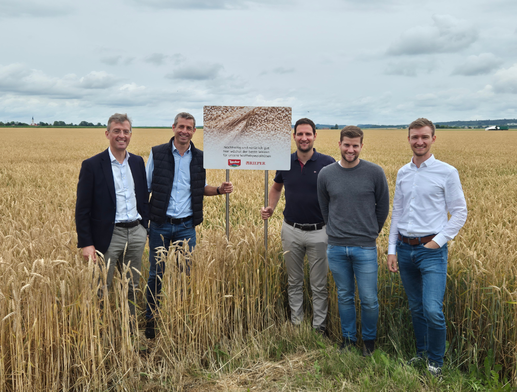 Loacker Wheat program - November 2025