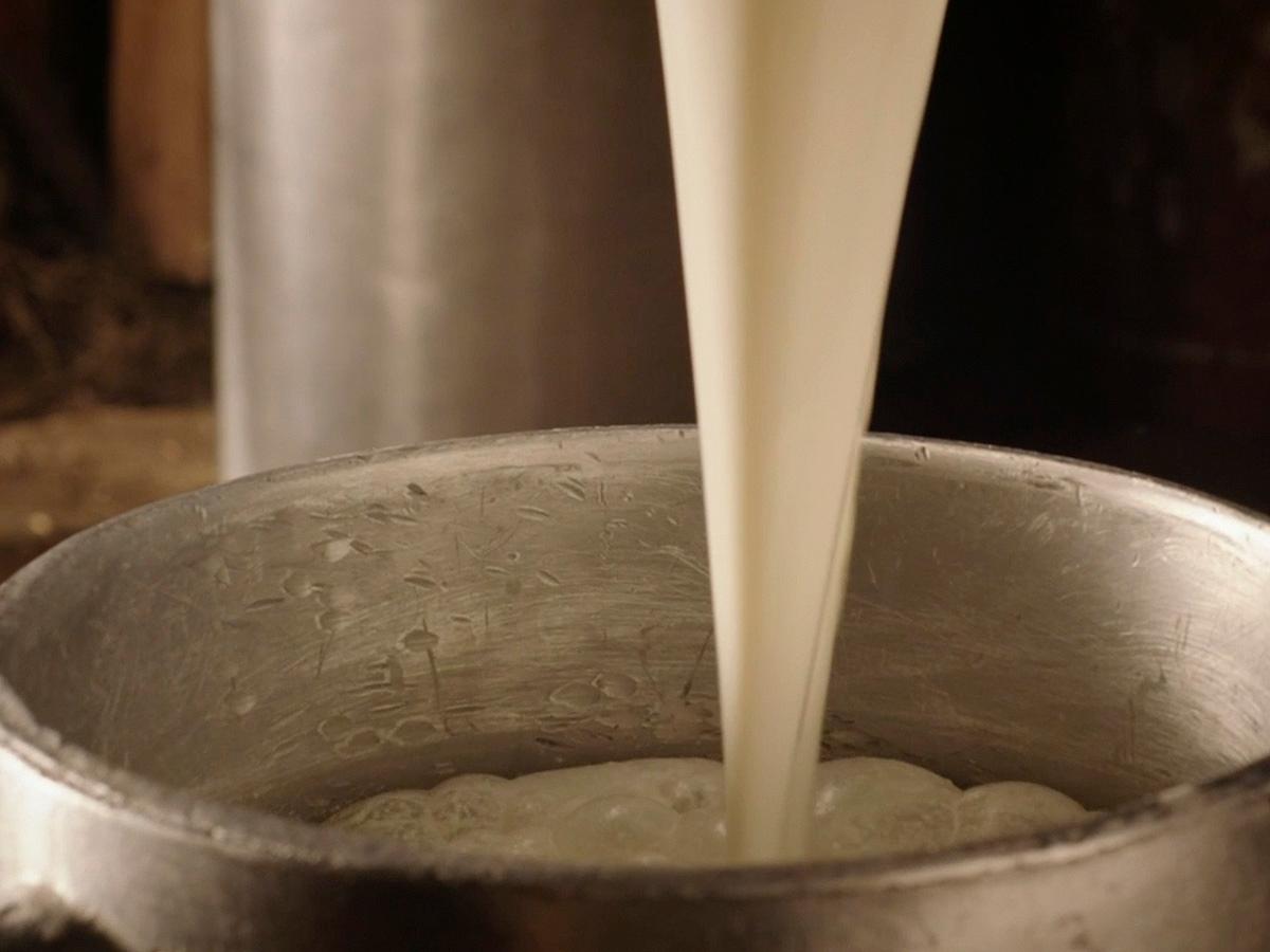 all_mtg_cocoa and milk_milk can _close up_textimage.jpg
