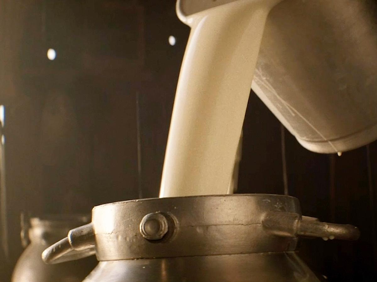 all_mtg_milk and vanilla_milk can _close up_textimage.jpg