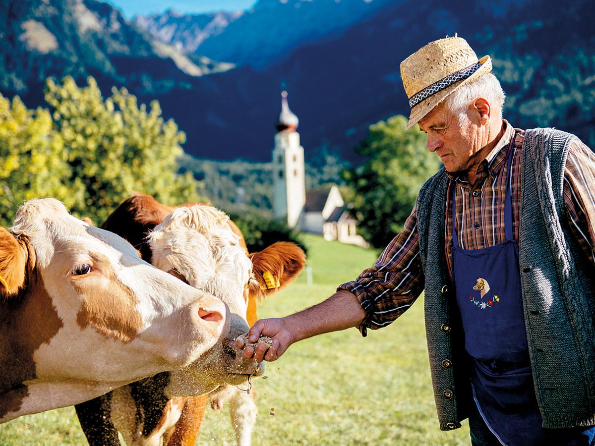 all_mtg_milk_cows with farmer_textimage.jpg