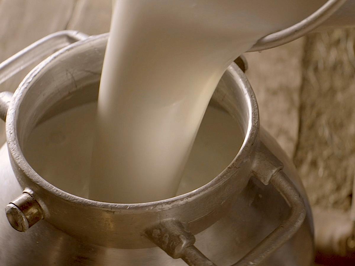 all_mtg_milk_milk can _close up_textimage.jpg