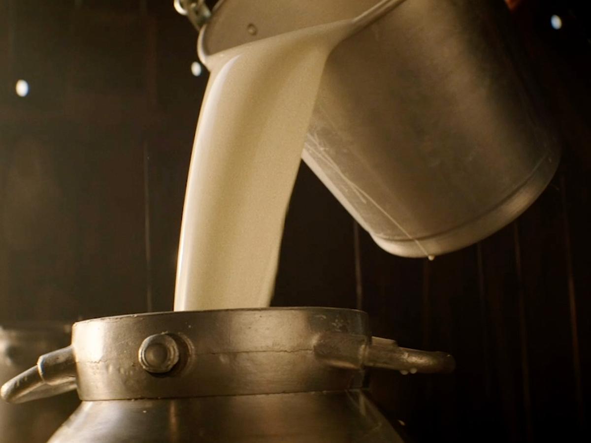 all_mtg_new recipe_milk can_teximage.jpg