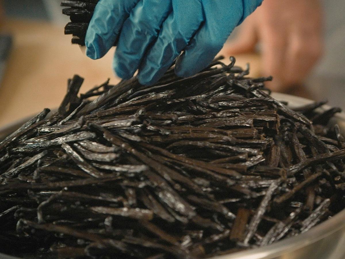 all_mtg_vanilla_vanilla pods_bowl_textimage.jpg
