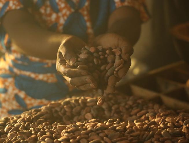 all_qualityfromnature_cocoa_bannerscroll2_mobile.jpg
