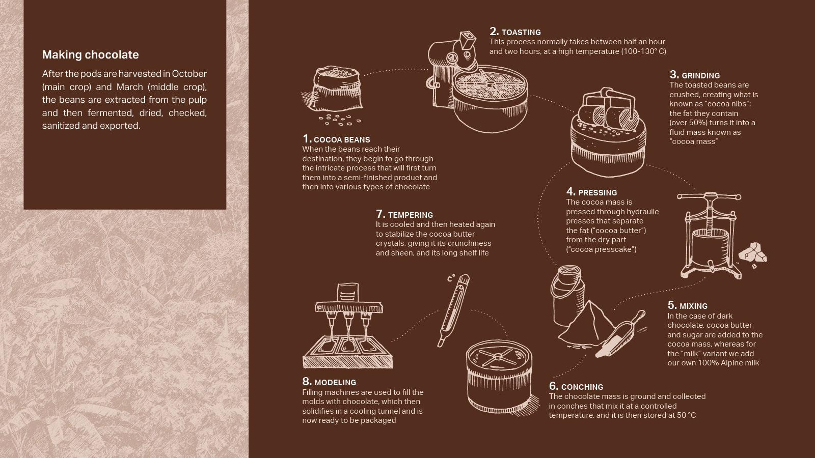 all_about us_cocoa farming program_8steps_eng_gallery.jpg