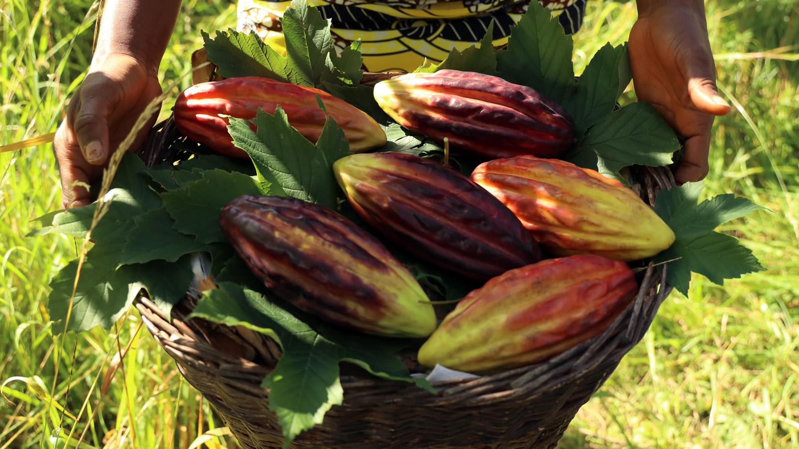 all_about us_cocoa farming program_woman_close-up_gallery1.jpg