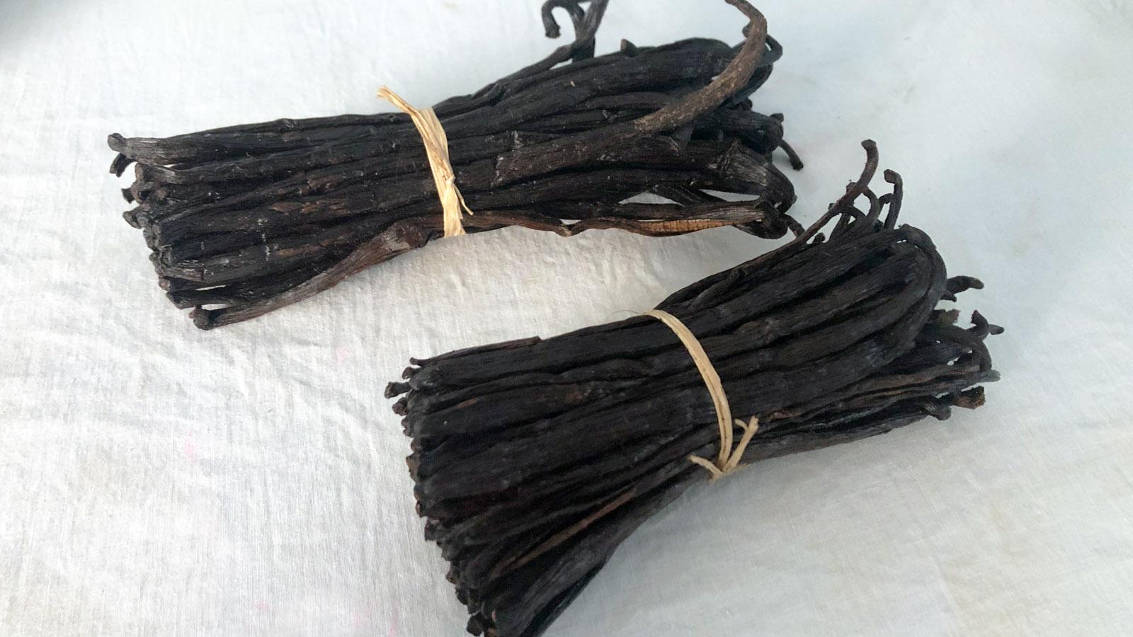 all_about us_vanilla project_vanilla pods__gallery4.jpg