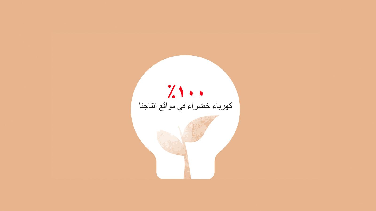 all_sustainability_environment_electricity_arab.jpg
