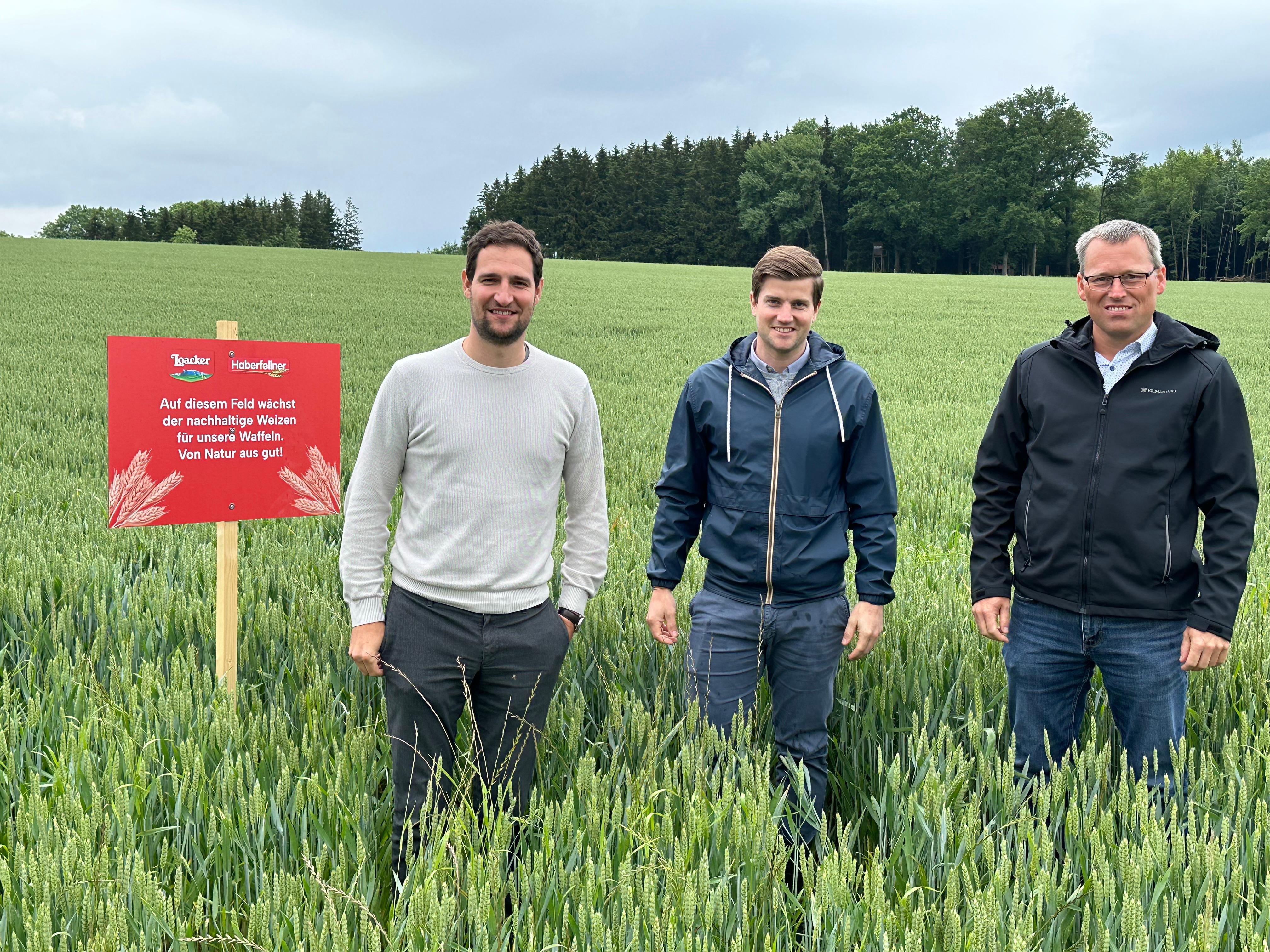 Ethical_Sourcing_Text_Image_Wheat