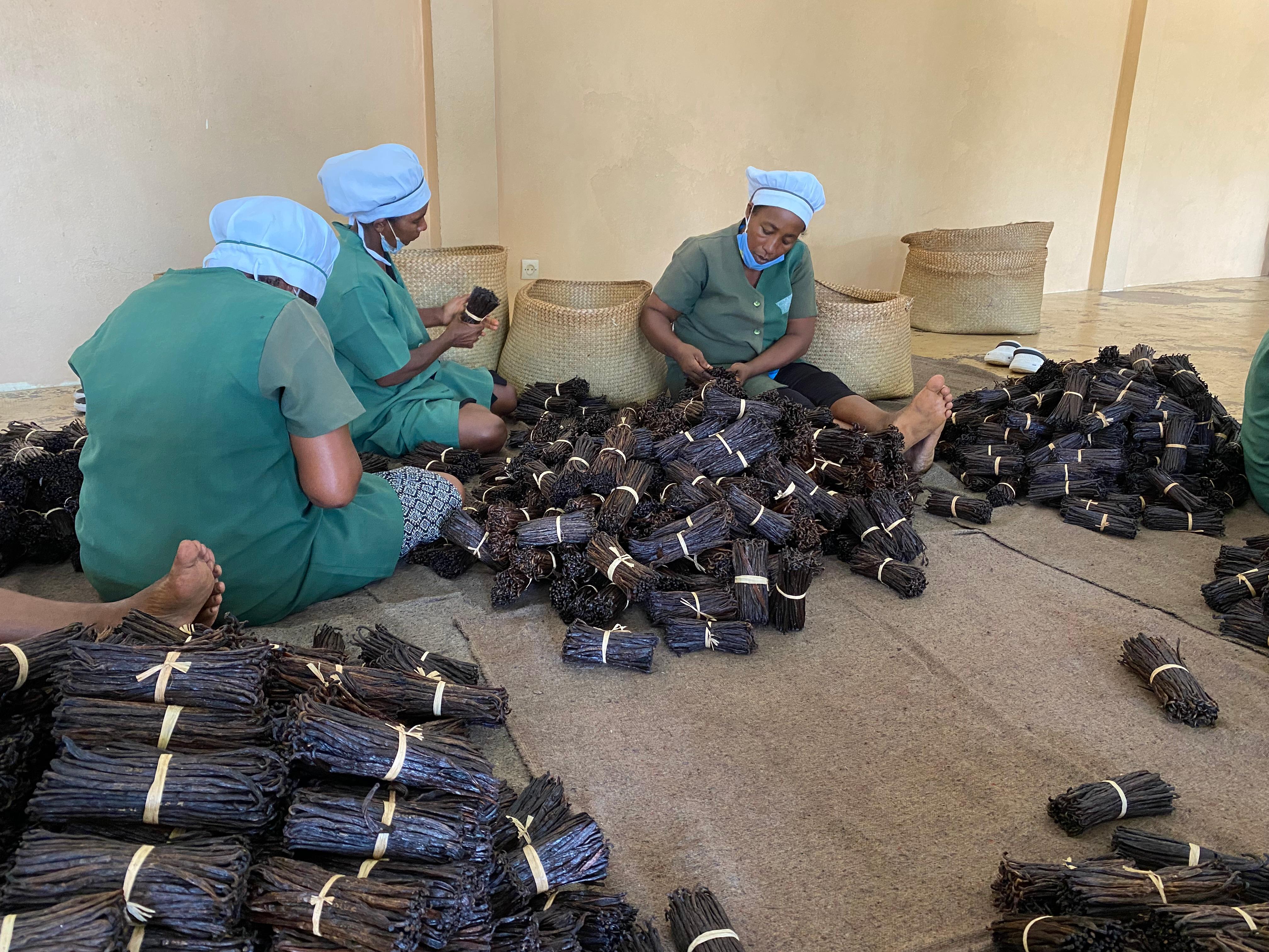 Our Bourbon vanilla from Madagascar