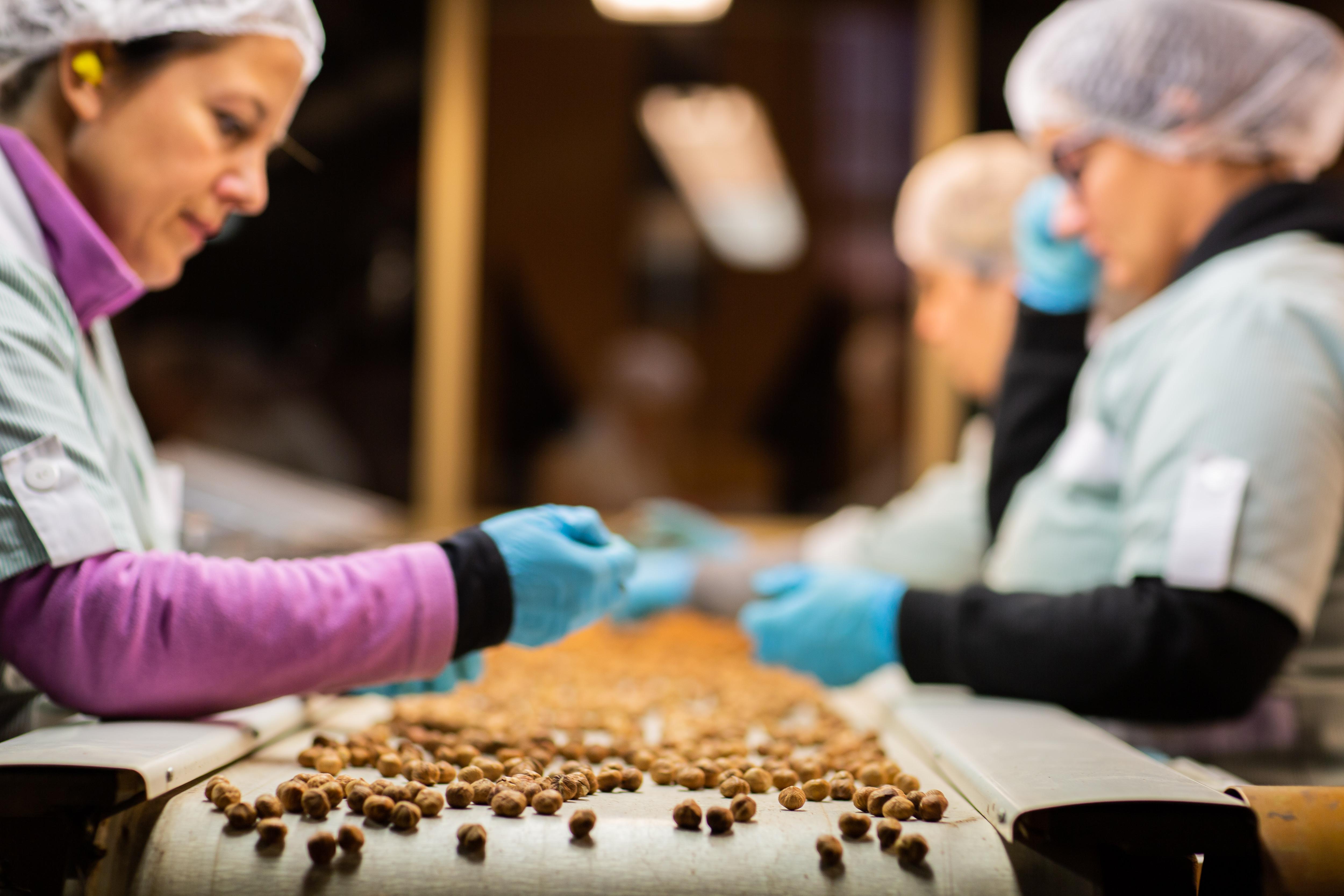 Ethical_Sourcing_Banner_Launch_hazelnuts