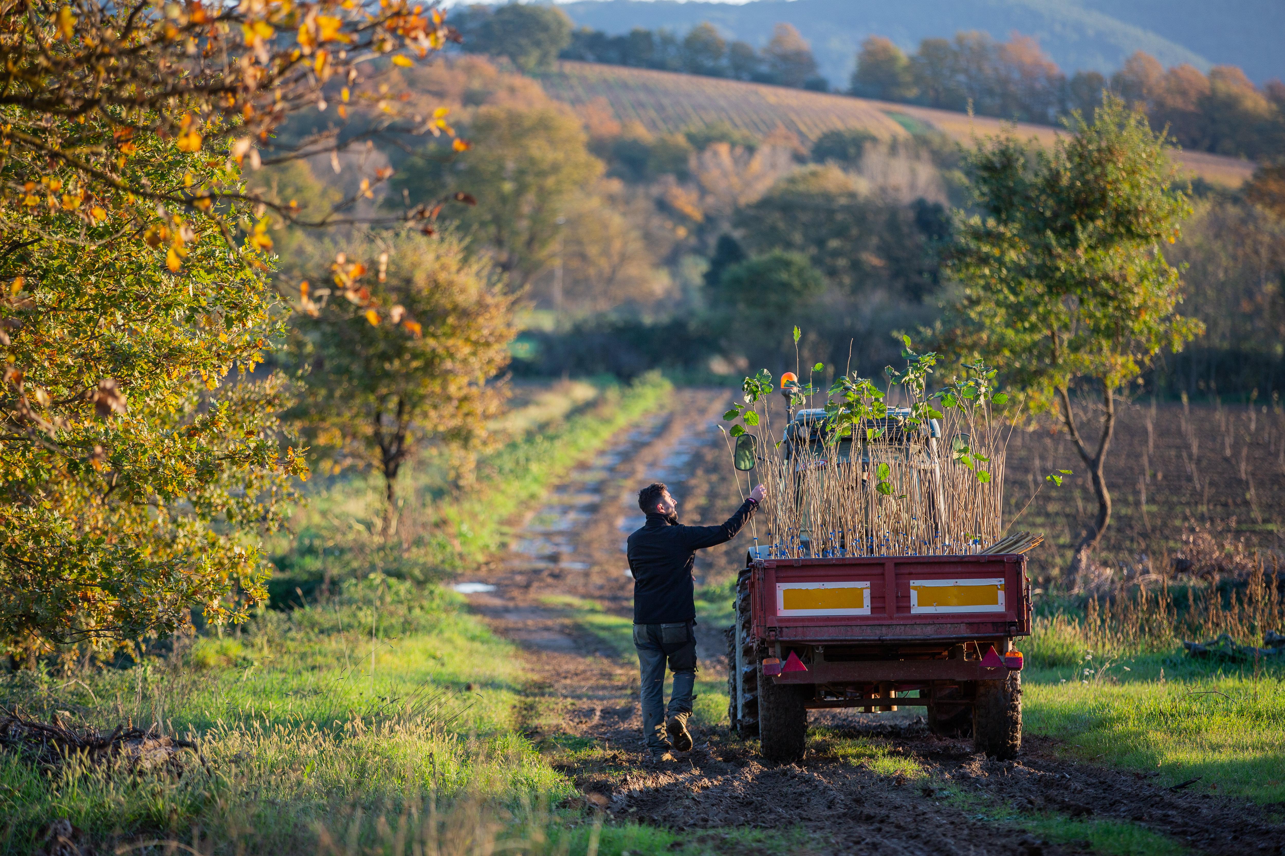 Ethical_Sourcing_Gallery_hazelnut