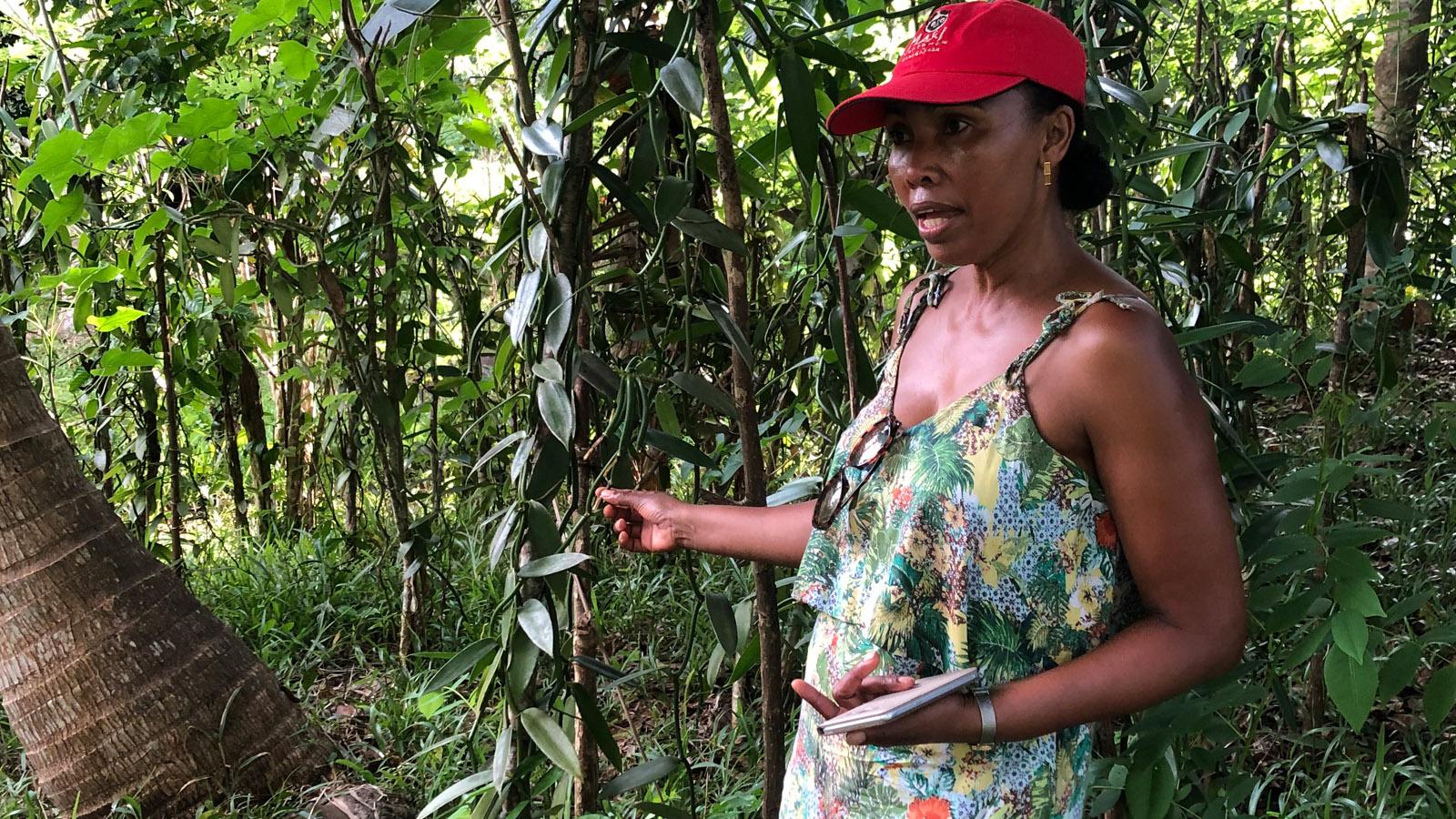 Ethical_Sourcing_Gallery_vanilla