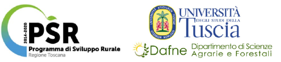 logo 1.png