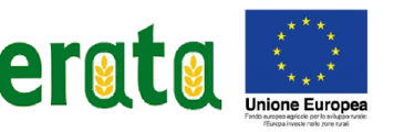 logo 2.png