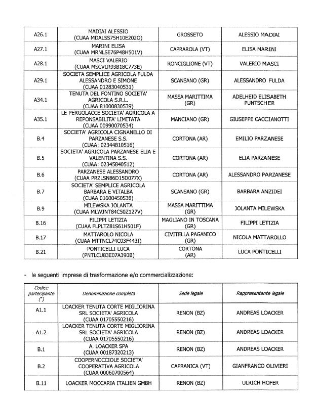 participants 2.png