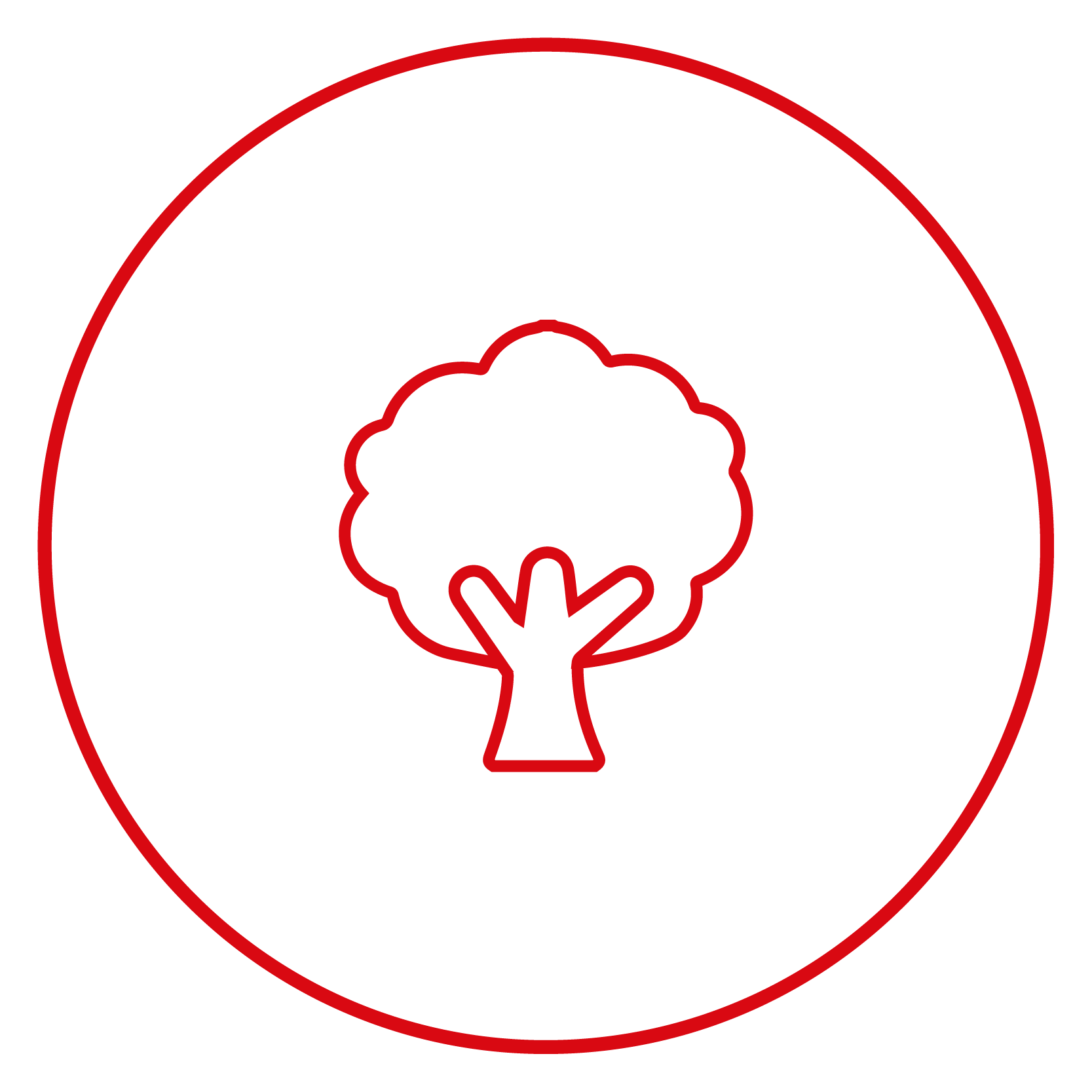 square list-albero-400x400px-06.png