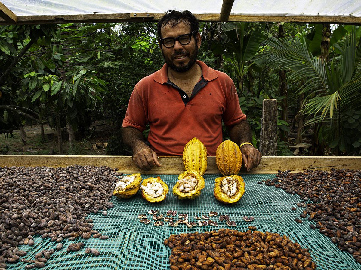 5) supply chain-cocoa-gallery 1200x900px.jpg