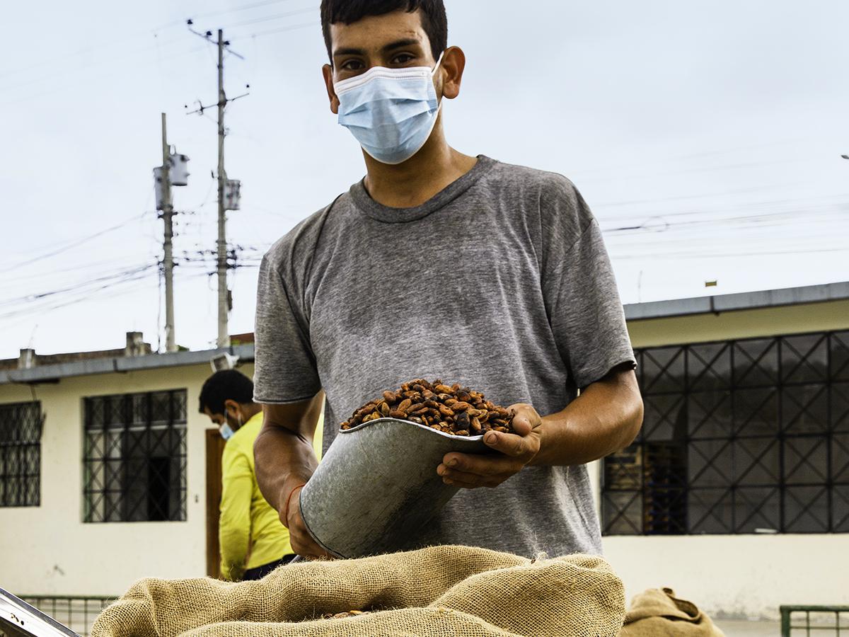 5) supply chain-cocoa-text-image- cocoa1200x900px.jpg