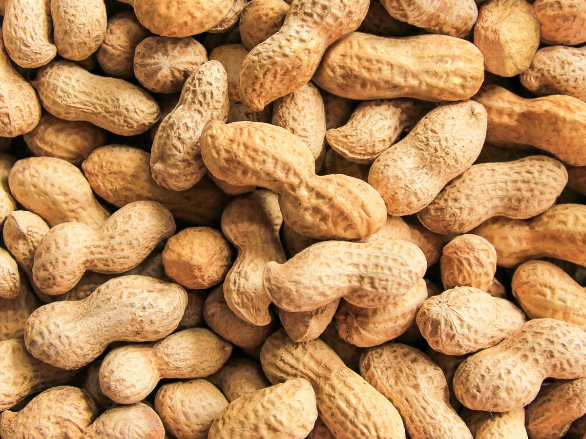 banner-launch-peanuts-1200x900px.jpg