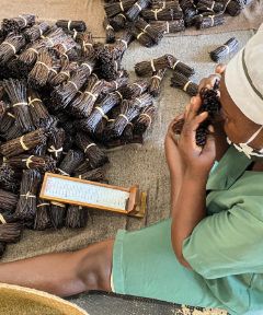 Landingpage_Triptych_vanilla