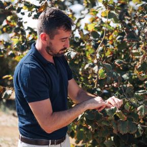 Ethical_Sourcing_Banner_Launch_hazelnut_facilities