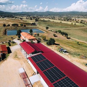 Landingpage_Triptych -renewable energy