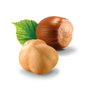 hazelnut