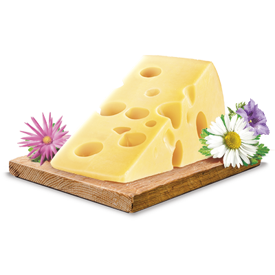 Cheese