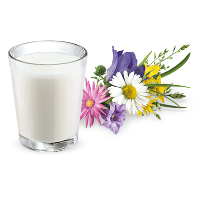 Alpenmilch 