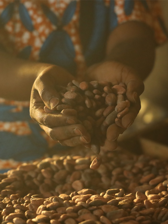 Unser Cocoa Farming Program