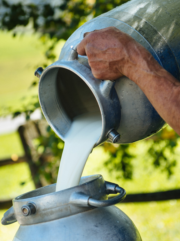 Unsere Alpenmilch ohne Gentechnik