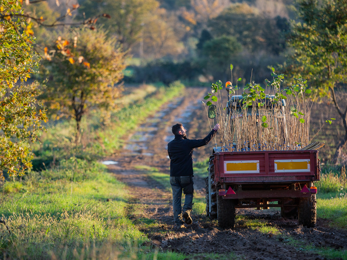 Sustainable supply chain