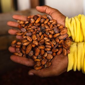 Loacker - Our Cocoa Farming program