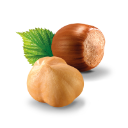 אגוזי לוז 