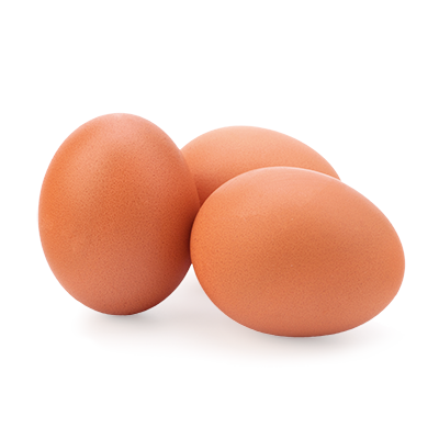 ביצים